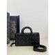 디올 Dior Medium Lady D-Joy Bag Black 26cm