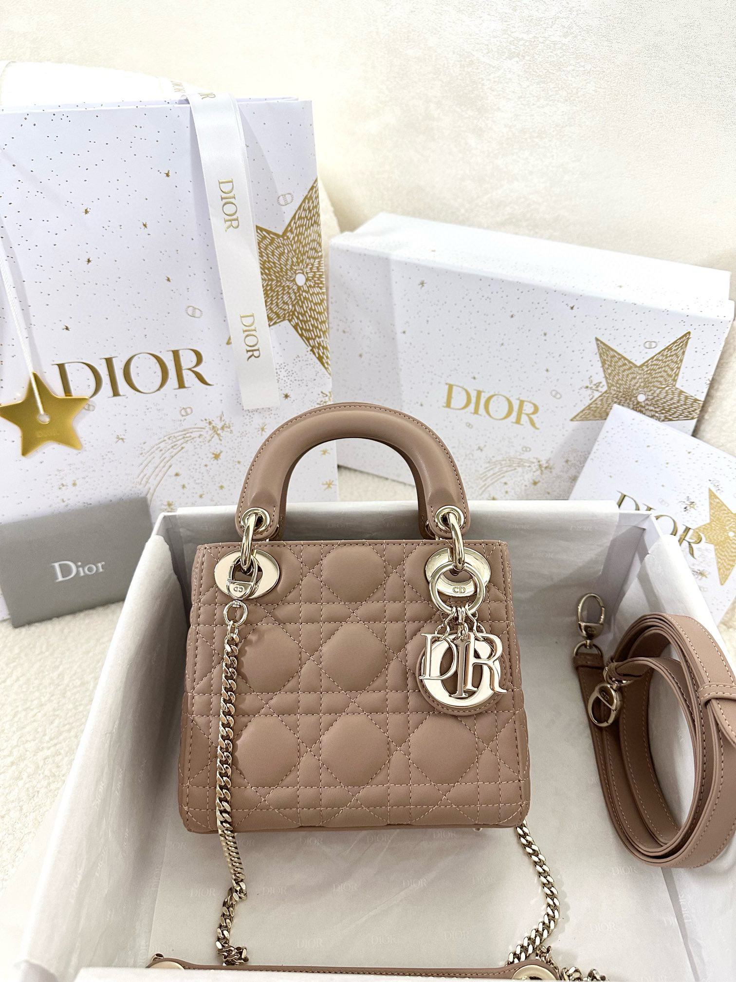 디올 Dior Mini Lady Dior Bag Pink 17cm
