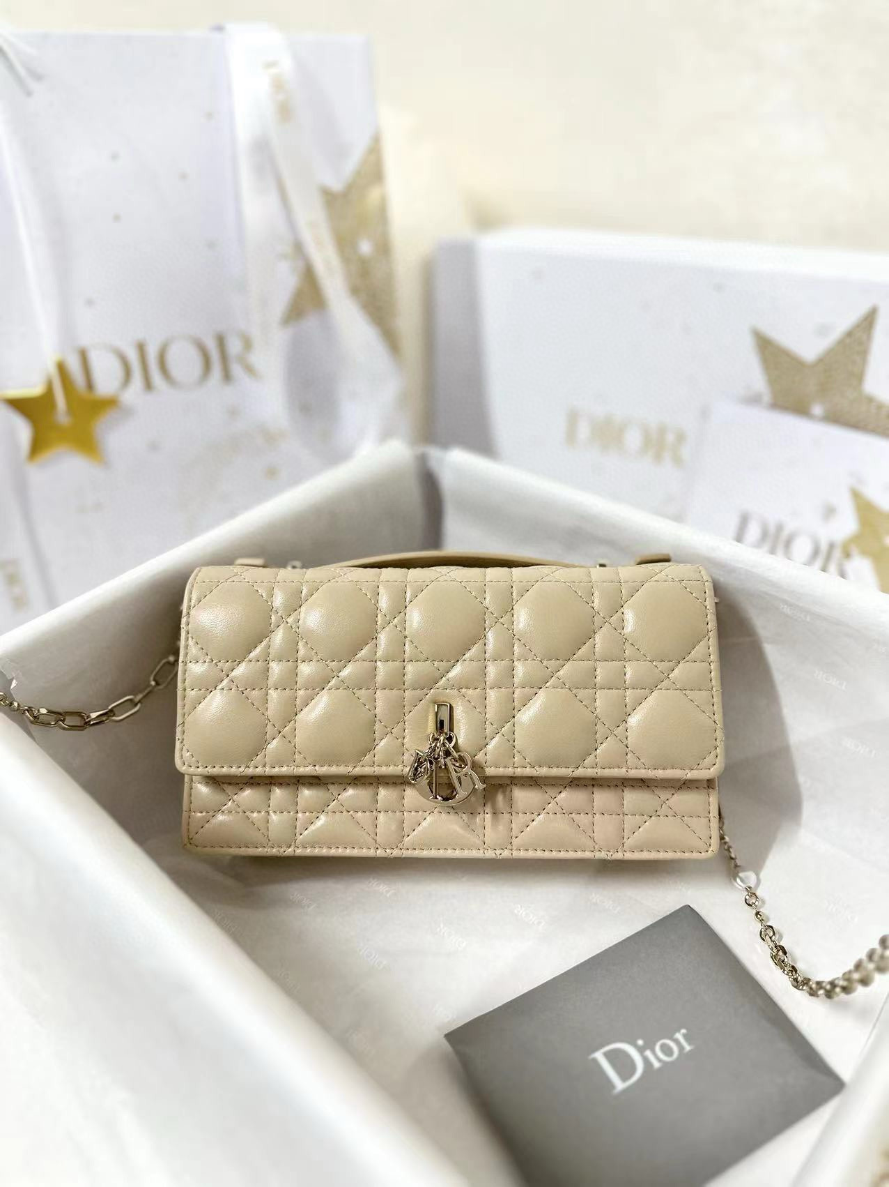 디올 Dior My Dior Mini Bag Apricot 21cm