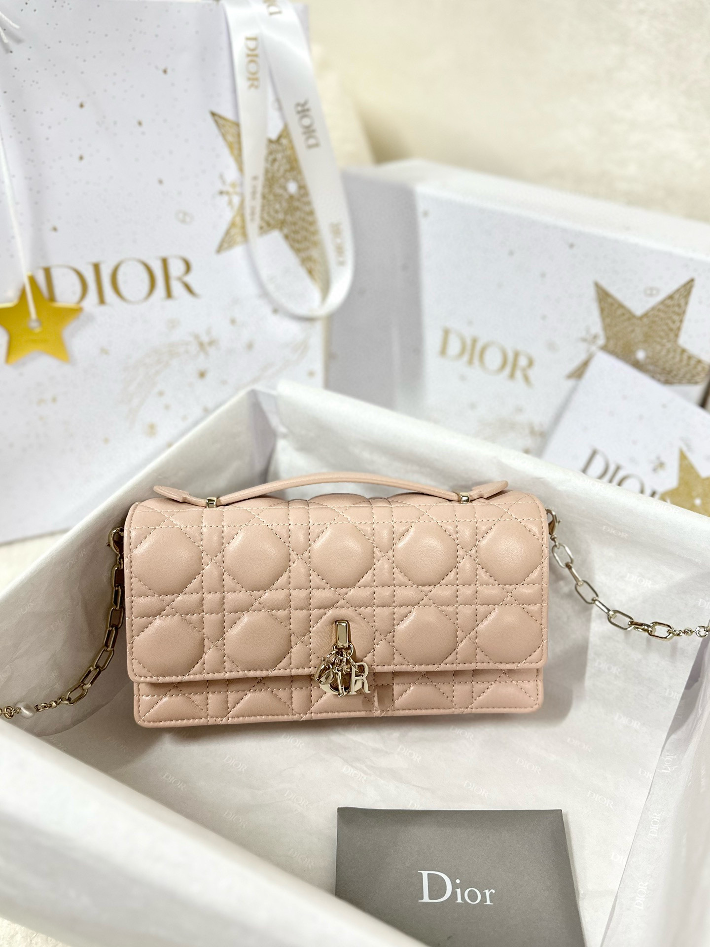디올 Dior My Dior Mini Bag Powder Beige 21cm