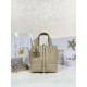 디올 Dior Small Dior Toujours Vertical Tote Bag Apricot 16cm
