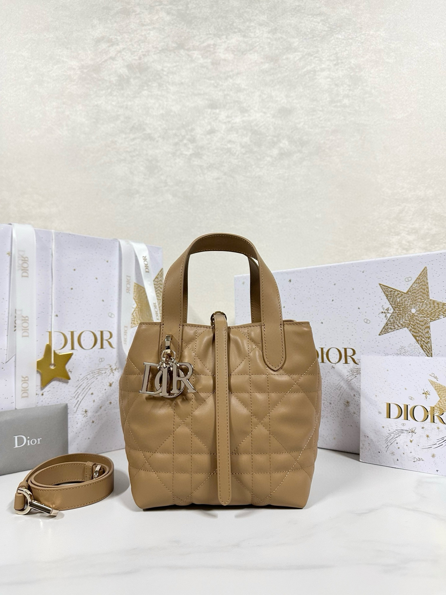 디올 Dior Small Dior Toujours Vertical Tote Bag Caramel 16cm