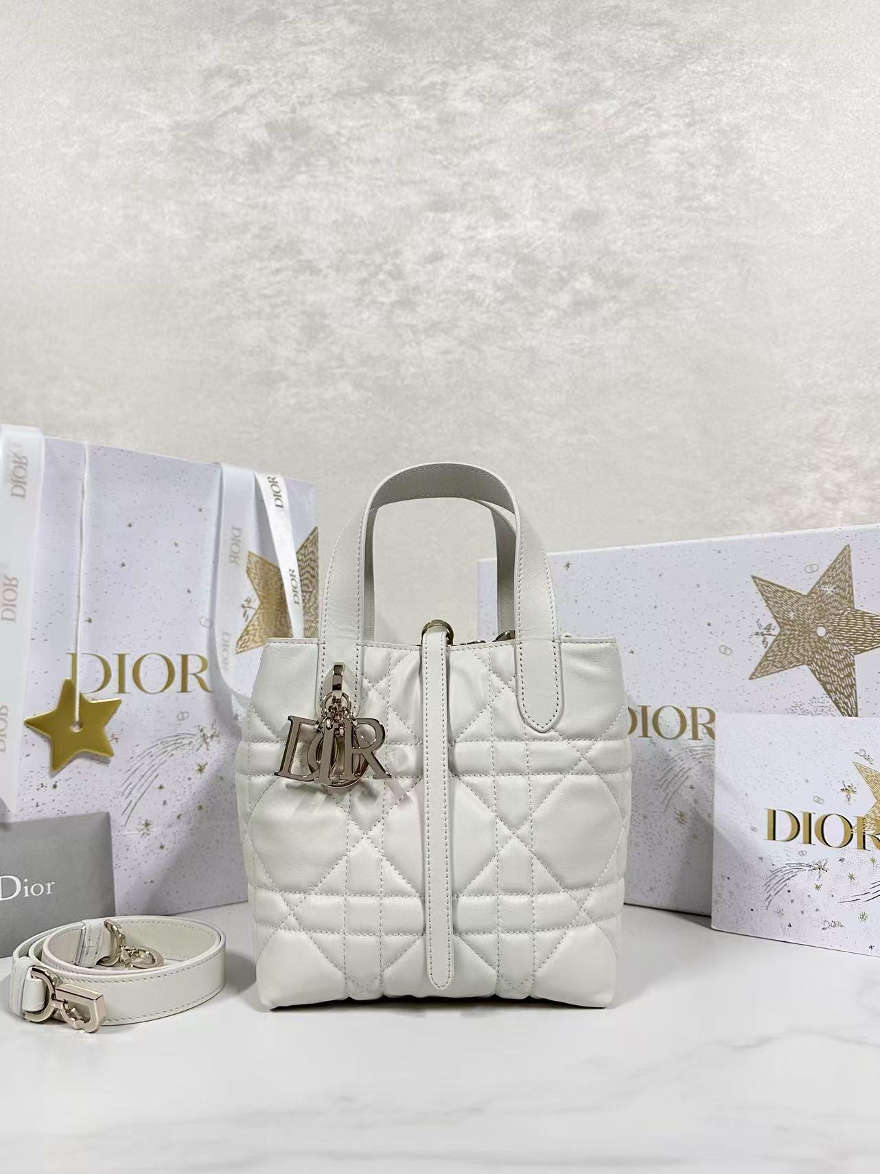 디올 Dior Small Dior Toujours Vertical Tote Bag White 16cm