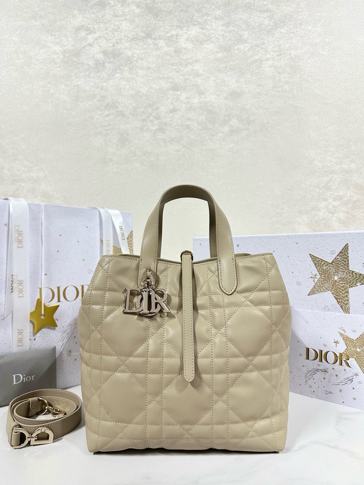 디올 Dior Medium Dior Toujours Vertical Tote Bag Apricot 20cm