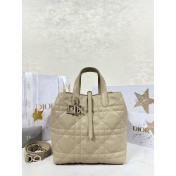 디올 Dior Medium Dior Toujours Vertical Tote Bag Apricot 20cm