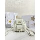 디올 Dior Small Dior Caro Backpack White 20cm