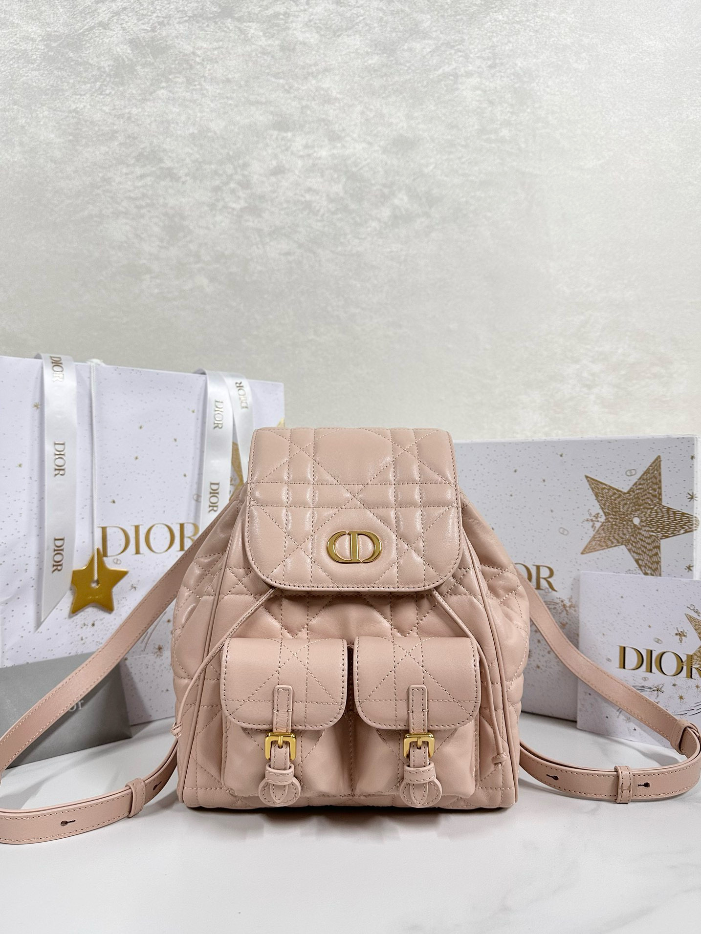 디올 Dior Medium Dior Caro Backpack Pink 23cm