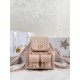디올 Dior Medium Dior Caro Backpack Pink 23cm