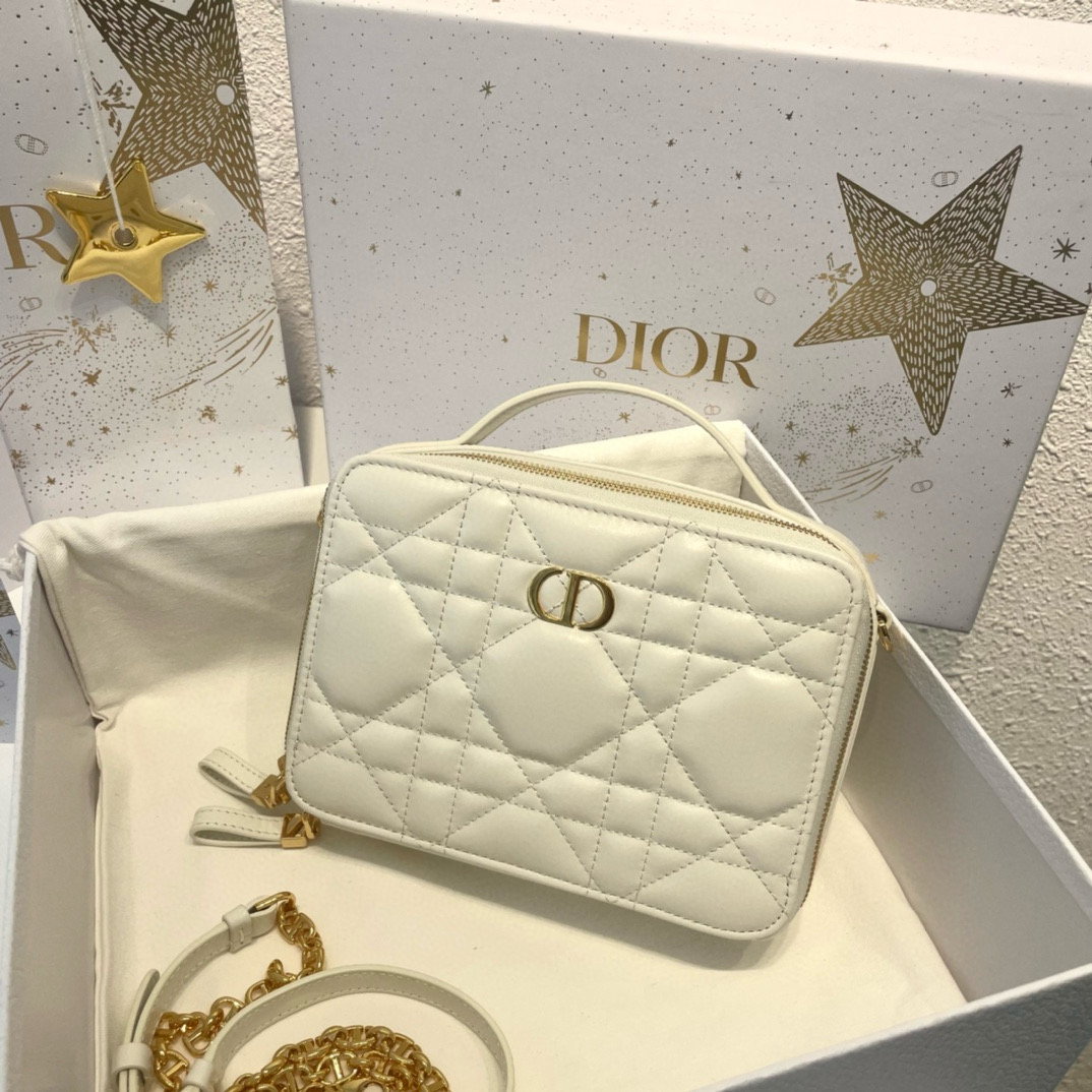 디올 Dior Camera bag White 19cm