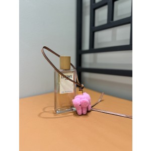 로에베 Loewe 백참 & 키링