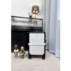 고야드 Goyard 알루미늄 캐리어 White