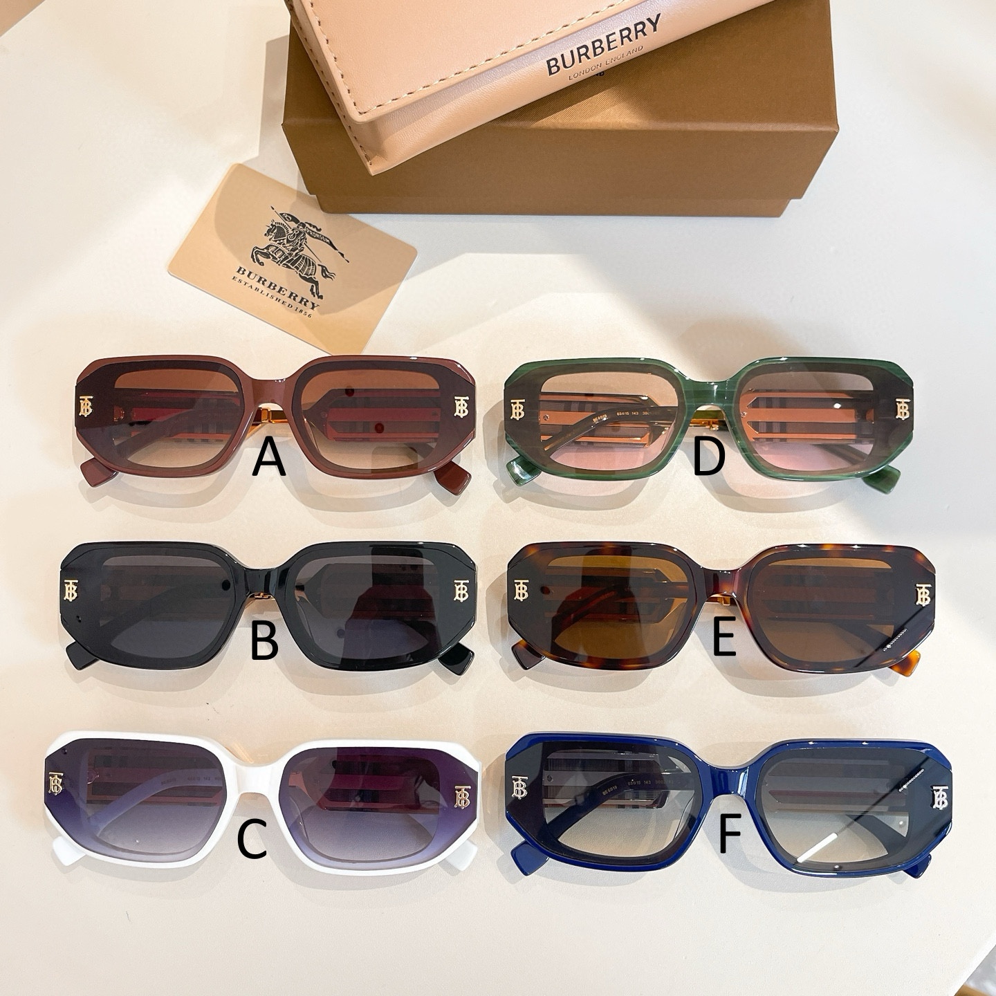 버버리 Burberry BE6019 65口15-143