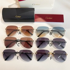 까르띠에 Cartier CT0502S 55口19-130