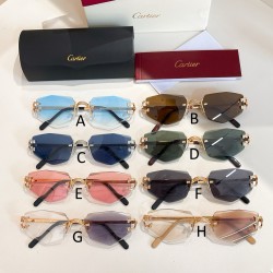 까르띠에 Cartier CT0582S 48口21-145
