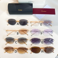 까르띠에 Cartier CT0611S 48口21-145