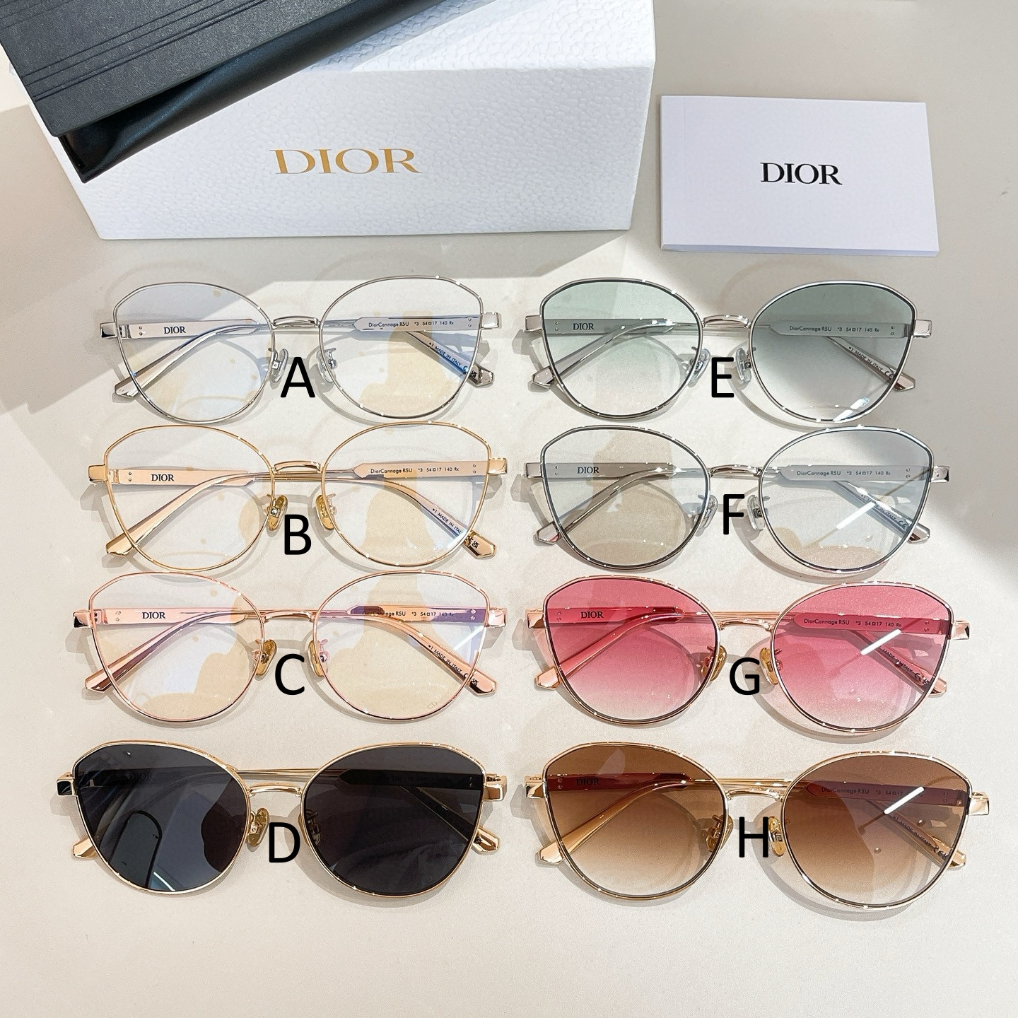 디올 Dior Cannage R5U 54口17-140