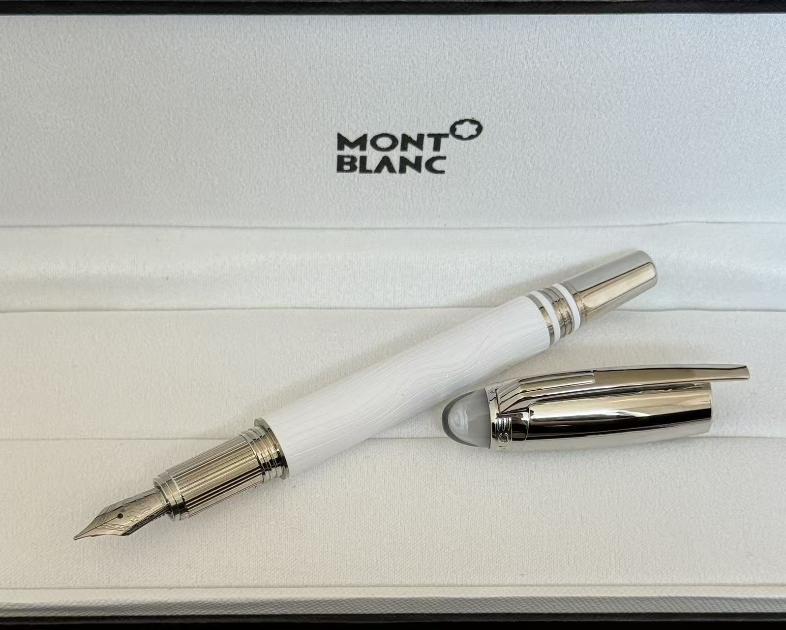 몽블랑 Montblanc 만년필