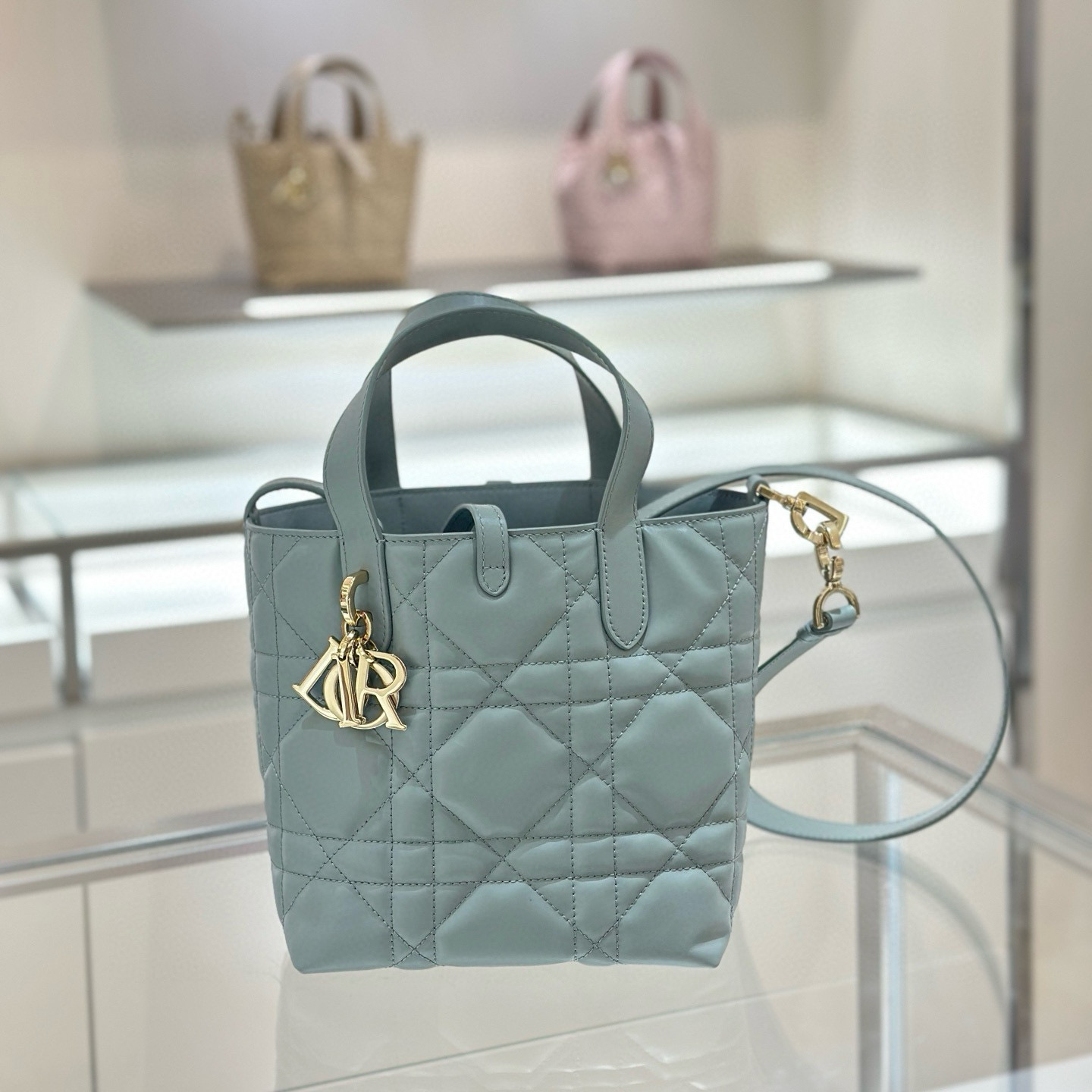 디올 Dior Small Dior Toujours Vertical Tote Bag grey 18.5cm