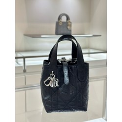 디올 Dior Toujours Vertical Nano Tote Bag Black 13cm