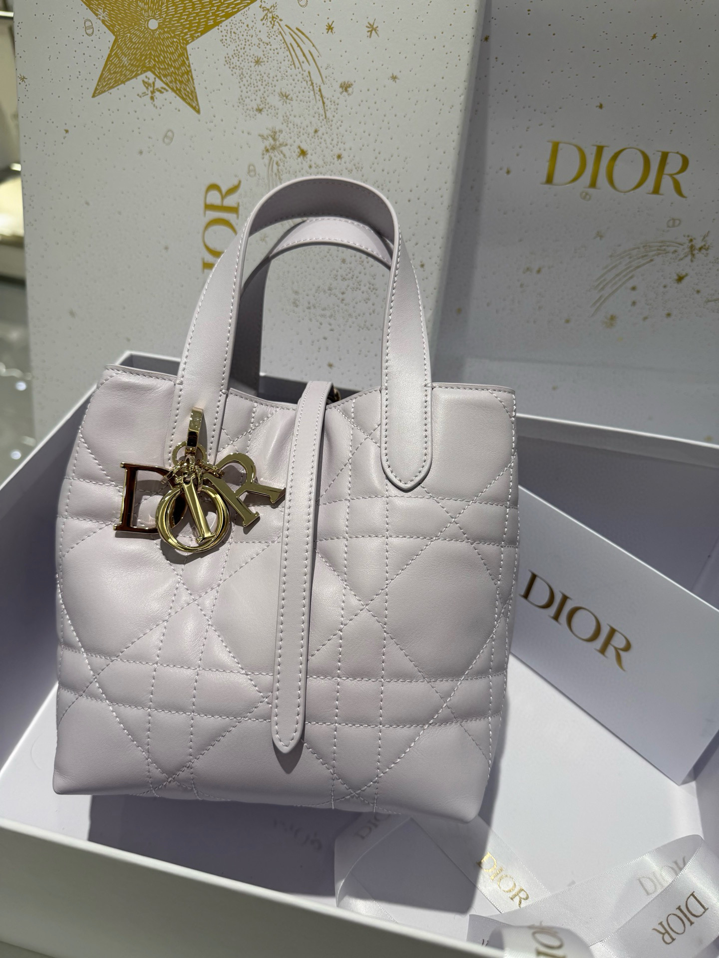 디올 Dior Small Dior Toujours Vertical Tote Bag Light purple 16cm