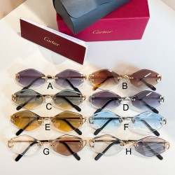 까르띠에 Cartier CT0769S 142