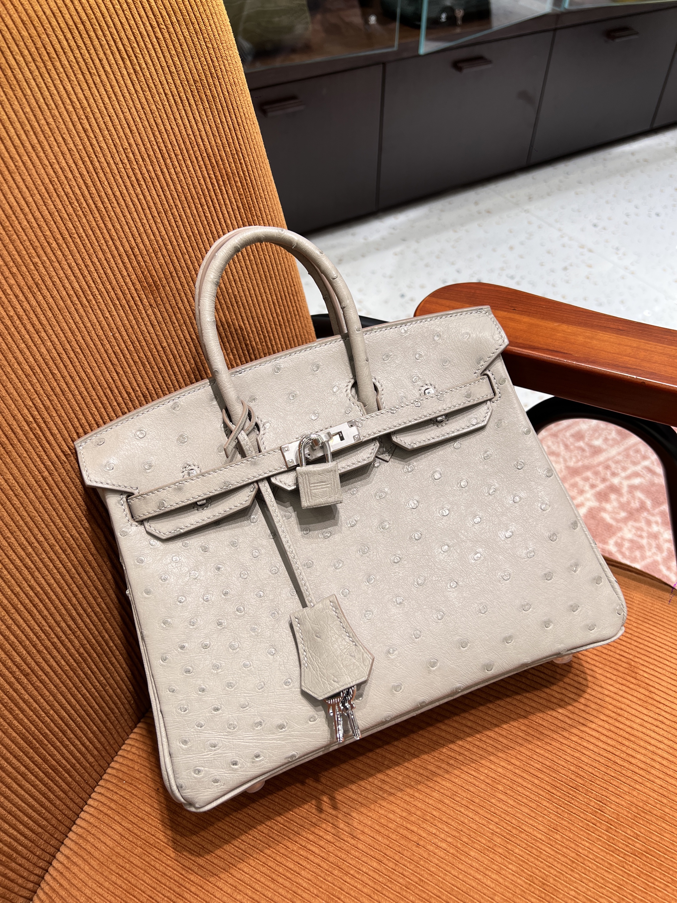 에르메스 Hermes Birkin 25cm Ostrich 80 Gris Perle/silver