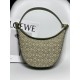 로에베 Loewe 3070 Anagram Jacquard Luna Bag