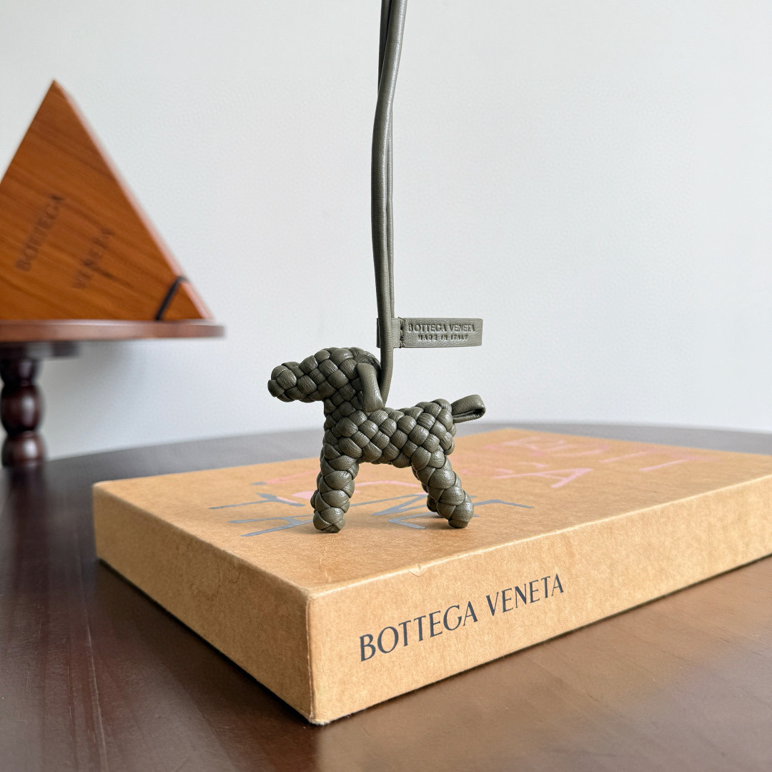 보테가베네타 Bottega Veneta 807068 도그 참