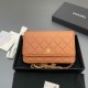 샤넬 Chanel Classic Wallet On Chain WOC 체인 지갑 AP0250 20cm