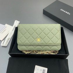 샤넬 Chanel Classic Wallet On Chain WOC 체인 지갑 AP0250 20cm