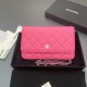 샤넬 Chanel Classic Wallet On Chain WOC 체인 지갑 AP0250 20cm