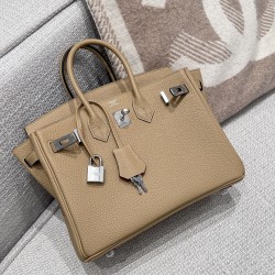 에르메스 Hermes Birkin 25cm Germany Leather S2 Trench and A5 Bougainvillea/silver