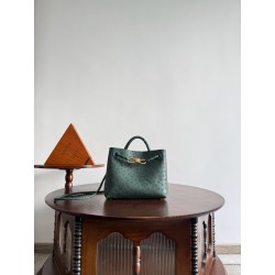 보테가베네타 Bottega Veneta 805231 Andiamo 25cm