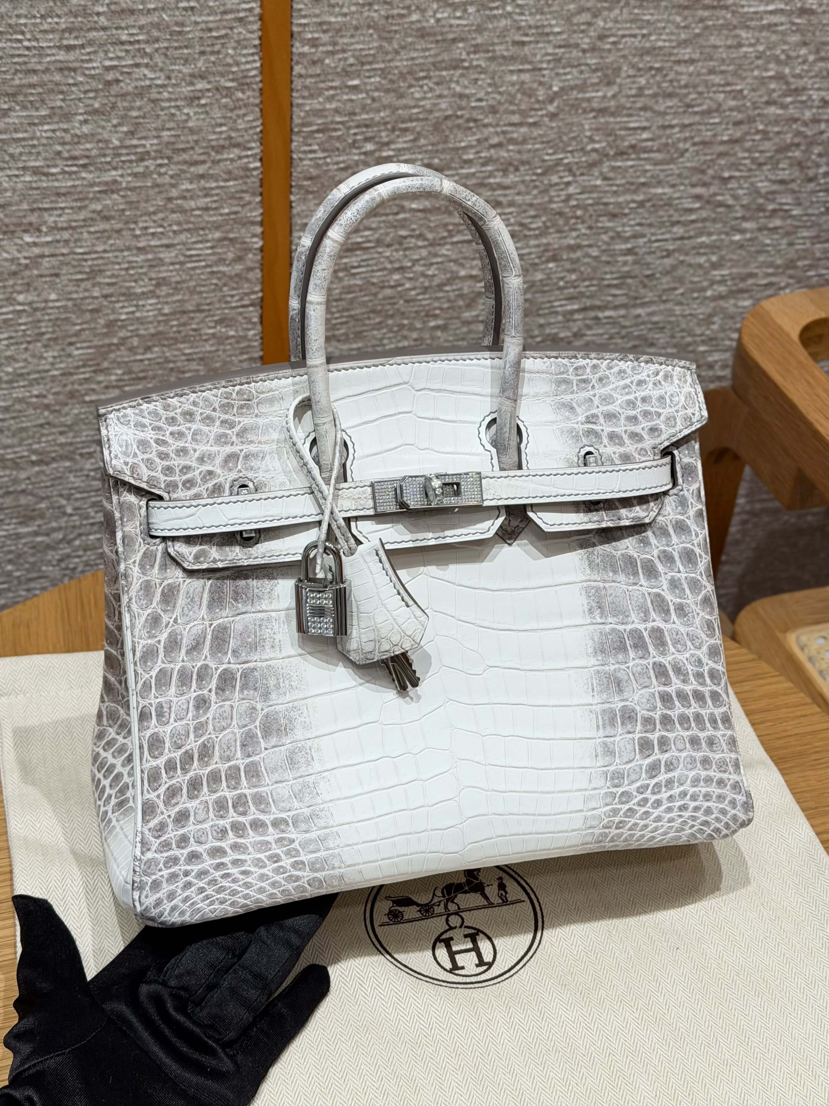 에르메스 Hermes Birkin 25cm Niloticus Himalaya Diamond