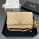 샤넬 Chanel AP3938 Wallet On Chain WOC 체인 지갑 19cm