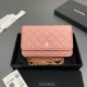샤넬 Chanel Classic Wallet On Chain WOC 체인 지갑 AP0250 20cm