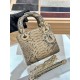 디올 Dior Mini Lady Bag 17cm