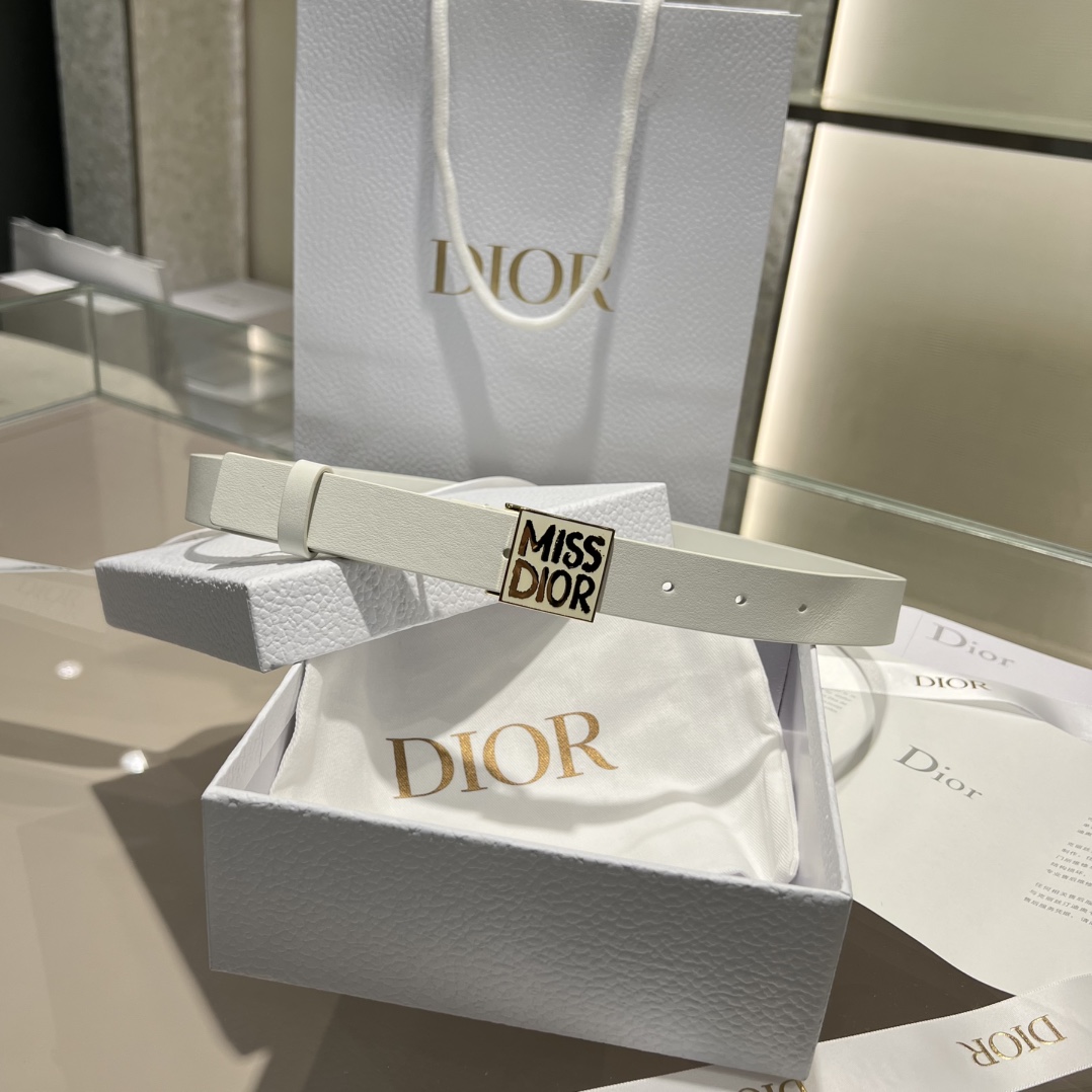 디올 Dior 벨트 25mm