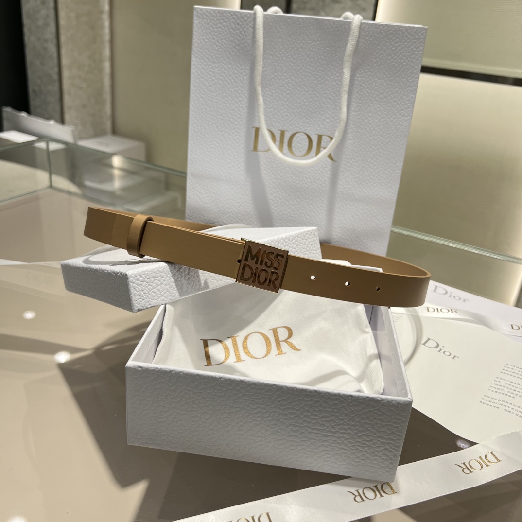 디올 Dior 벨트 25mm
