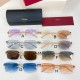 까르띠에 Cartier CT0722S 142