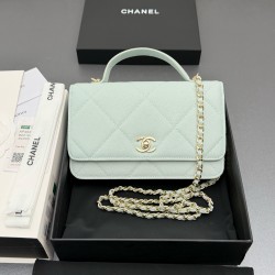 샤넬 Chanel AP4931 Wallet on Chain 19.5cm