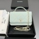 샤넬 Chanel AP4931 Wallet on Chain 19.5cm