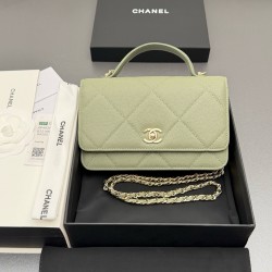 샤넬 Chanel AP4931 Wallet on Chain 19.5cm