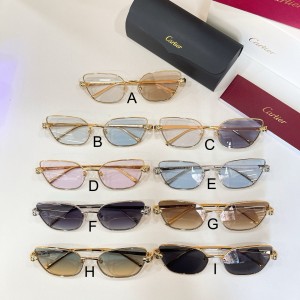 까르띠에 Cartier CT0495S 60口17-140