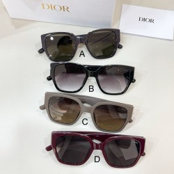 디올 Dior CD 0258S 55口20-151