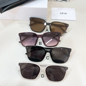 디올 Dior CD 0262S 66口15-152