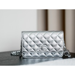 샤넬 Chanel Classic Wallet On Chain WOC  silver