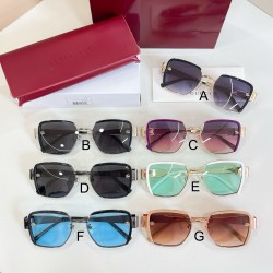 구찌 Gucci GG2036SK 53口20-145