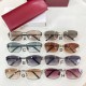 구찌 Gucci GG2045S 58口17-135
