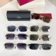 까르띠에 Cartier CT0652S   65口15-145